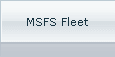 MSFS Fleet