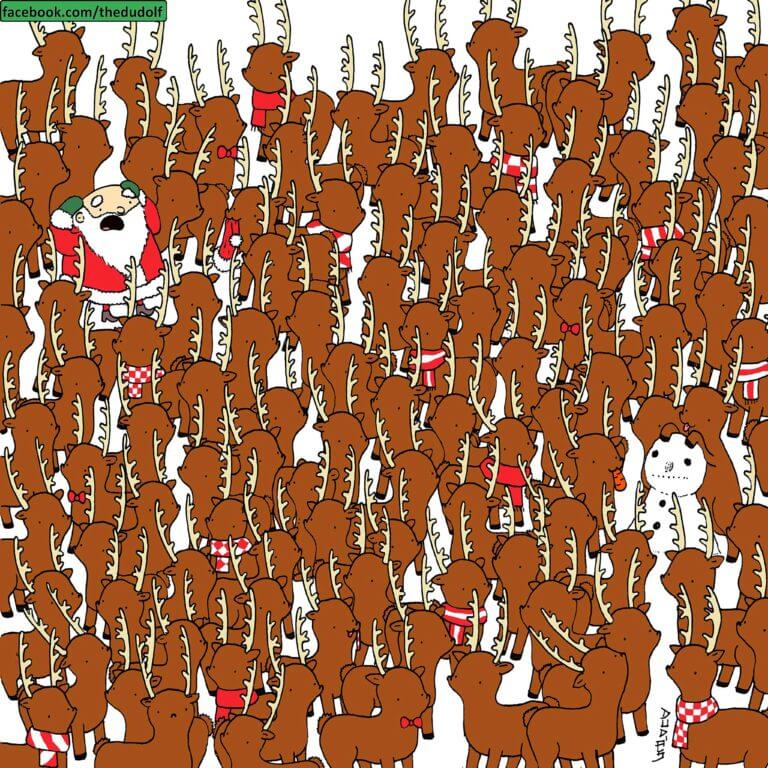 Spot-The-Bear-Hiding-In-A-Crowd-of-Reindeer