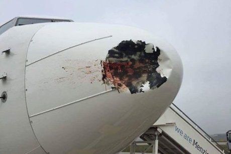 birdstrike