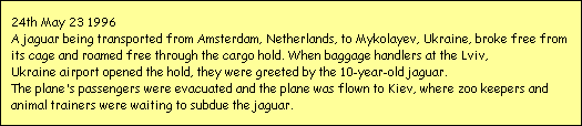 24th May 23 1996
A jaguar being transported from Amsterdam, Netherlands, to Mykolayev, Ukraine, broke free from 
its cage and roamed free through the cargo hold. When baggage handlers at the Lviv, 
Ukraine airport opened the hold, they were greeted by the 10-year-old jaguar. 
The plane's passengers were evacuated and the plane was flown to Kiev, where zoo keepers and 
animal trainers were waiting to subdue the jaguar.