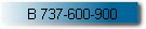 B 737-600-900