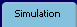 Simulation